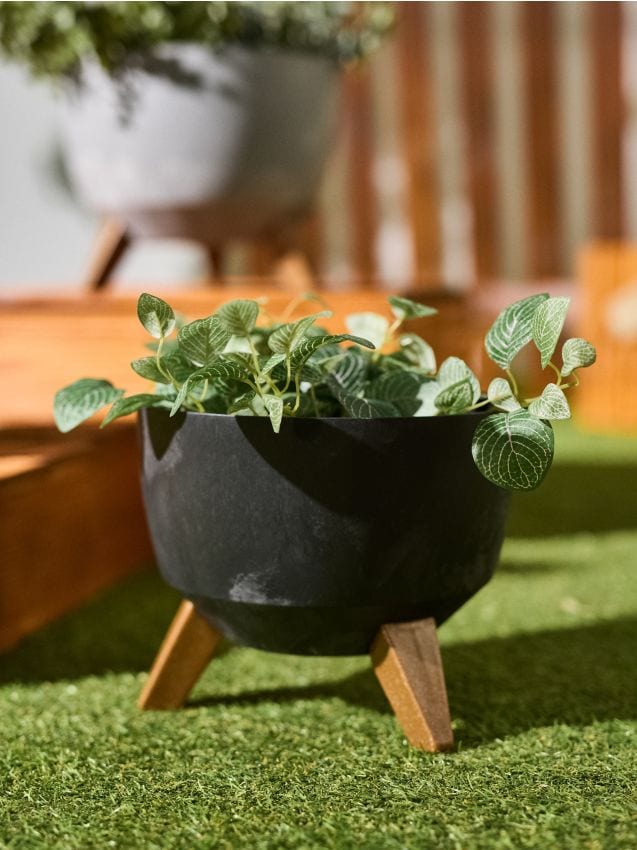 Sinsay - Ghiveci - gri-închis