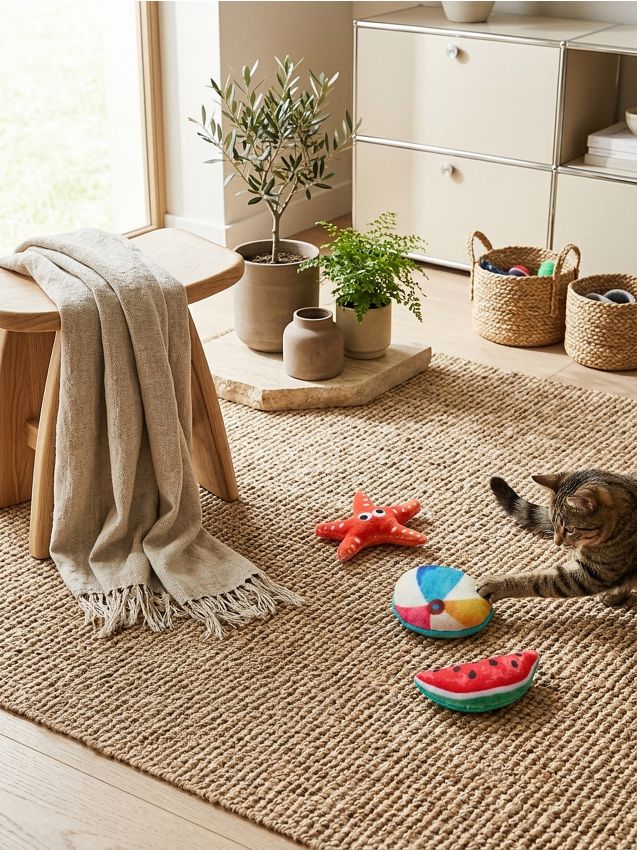 Sinsay - Jucărie pentru animale de companie 3 pack - multicolor