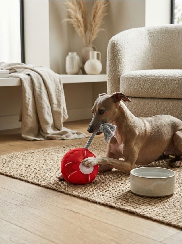 Sinsay - Jucărie pentru câine - roșu