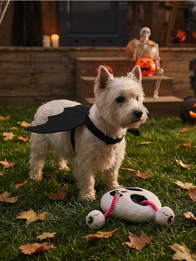 Sinsay - Costum de Halloween de liliac pentru câine - negru