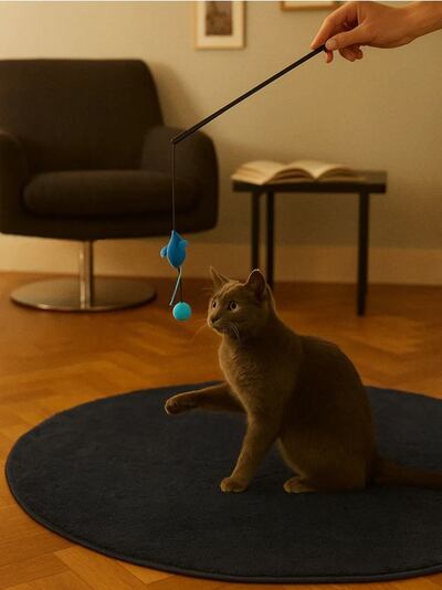 Παιχνίδι γάτας