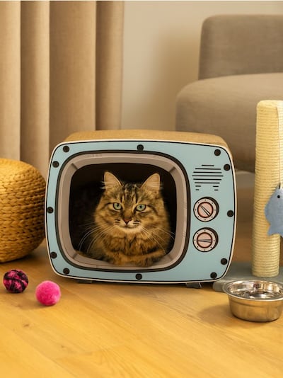 Кігтеточка для кота