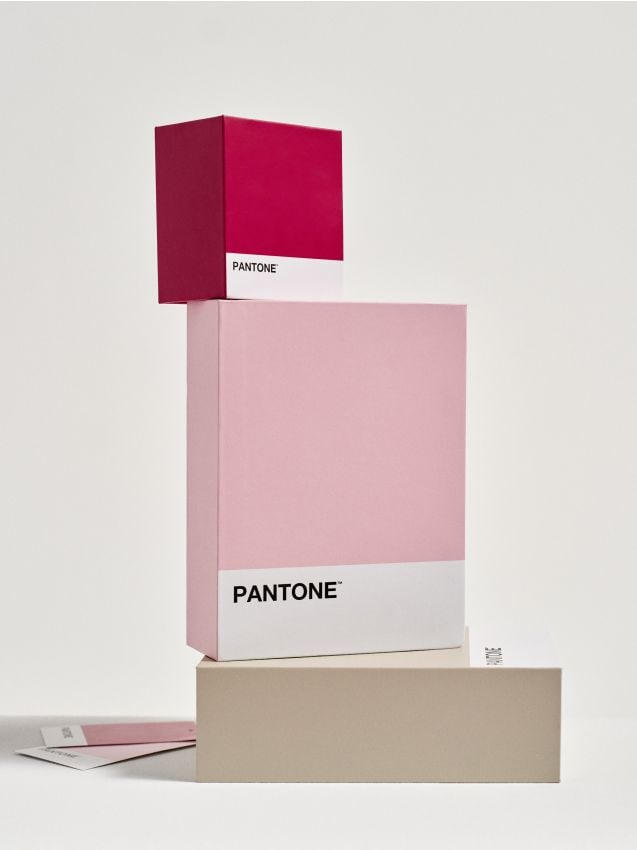 Sinsay - Cutie pentru depozitare Pantone - roz