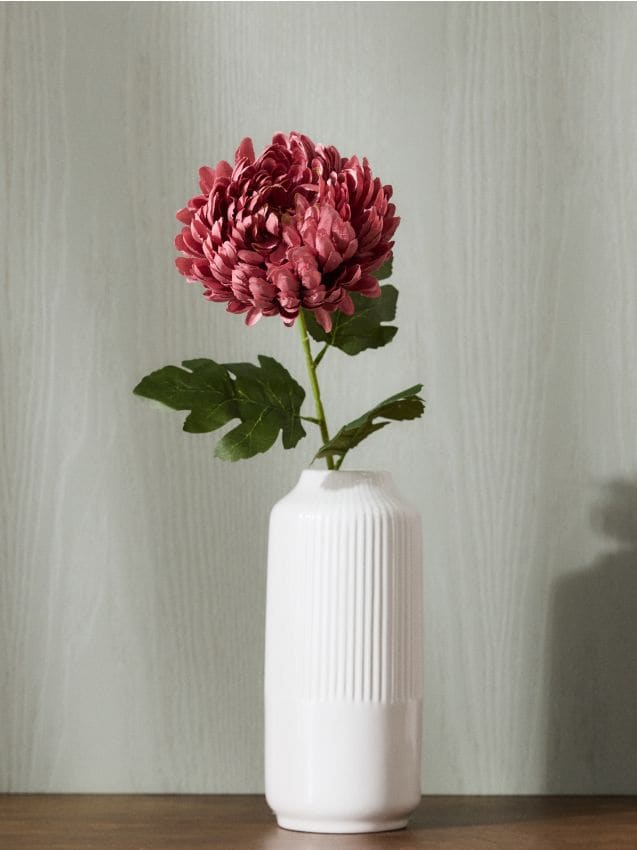 Sinsay - Plantă decorativă – crizantemă - mov