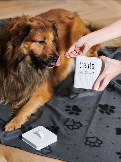 Škatla za shranjevanje hrane za hišne ljubljenčke