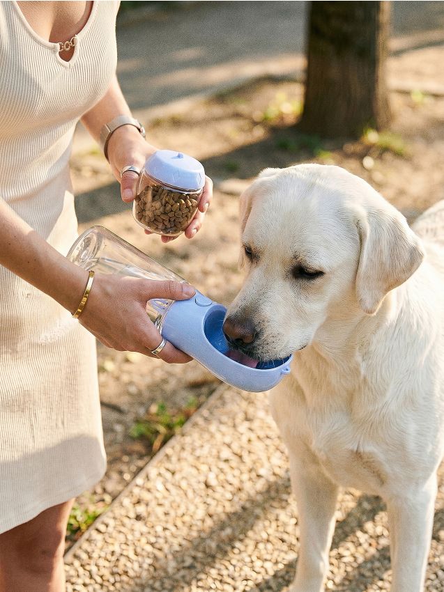 Sinsay - Sticlă pentru câine cu recipient pentru recompense - albastru-pal