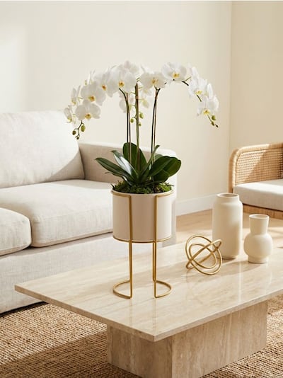 Pflanzenständer mit Metallrahmen