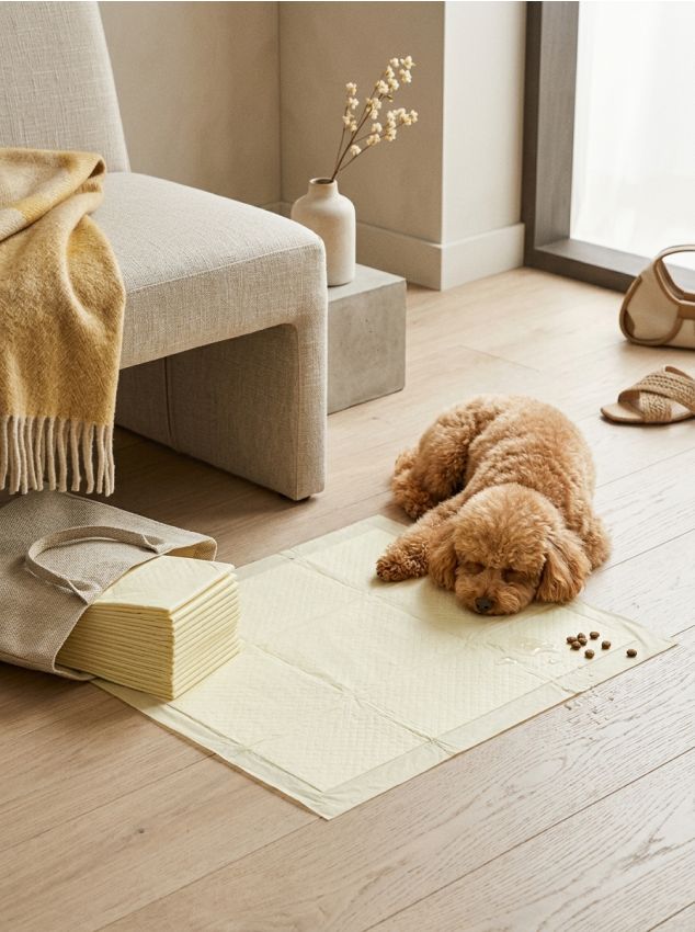 Sinsay - Absorbante igienice parfumate pentru animale 15 pack - galben-deschis