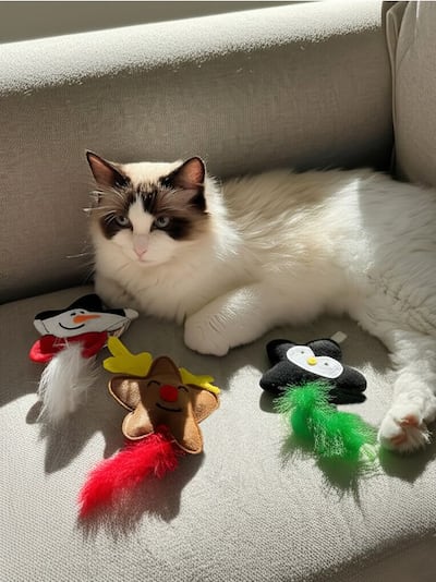 Božične igrače za mačke 3 kos pakiranje