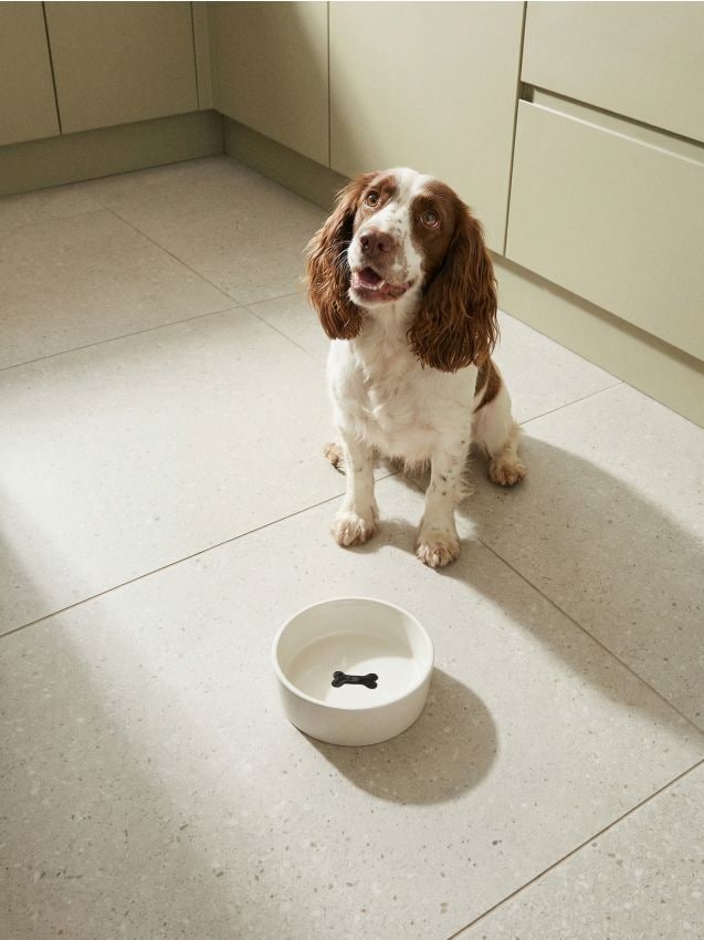 Sinsay - Bol din ceramică pentru animale cu design în relief de os - crem