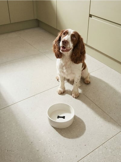 Keraamiline lemmikloomade kauss tõstetud kondimustriga