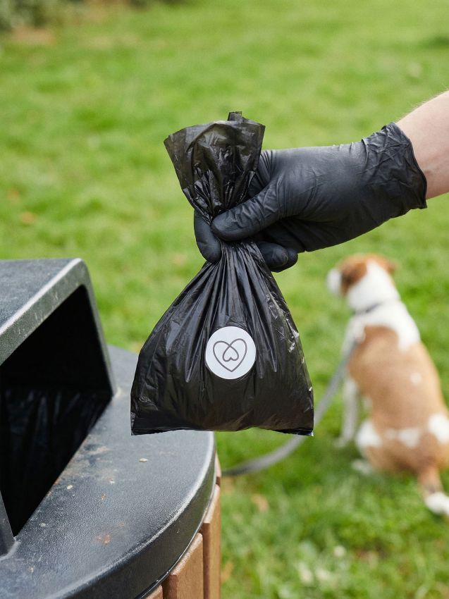 Sinsay - Pungi pentru excremente 200 buc - negru