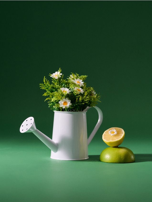 Sinsay - Buchet de margarete decorative într-un ghiveci în formă de stropitoare - alb