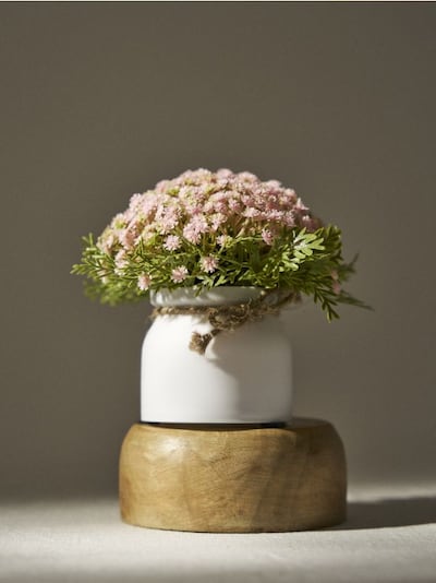 Dekoratiivne lillekimp potis