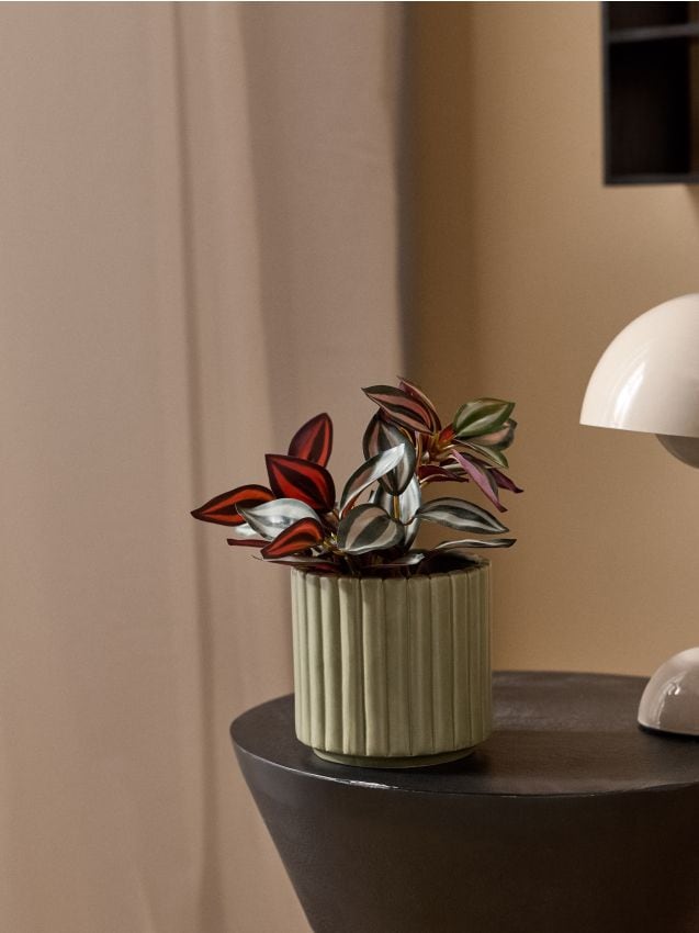 Sinsay - Ghiveci ceramic cu striații - verde-pal