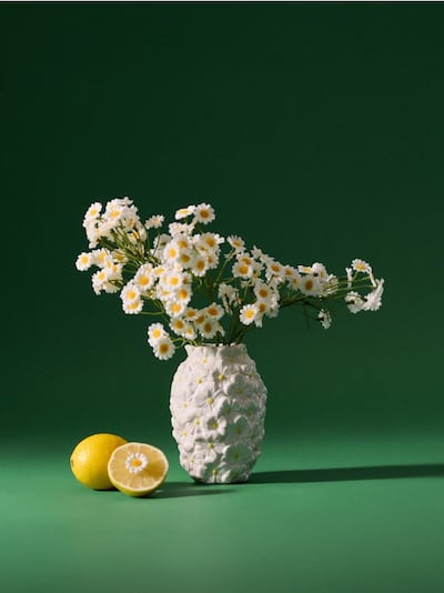 Dekoratiivtaim – karikakrakimp