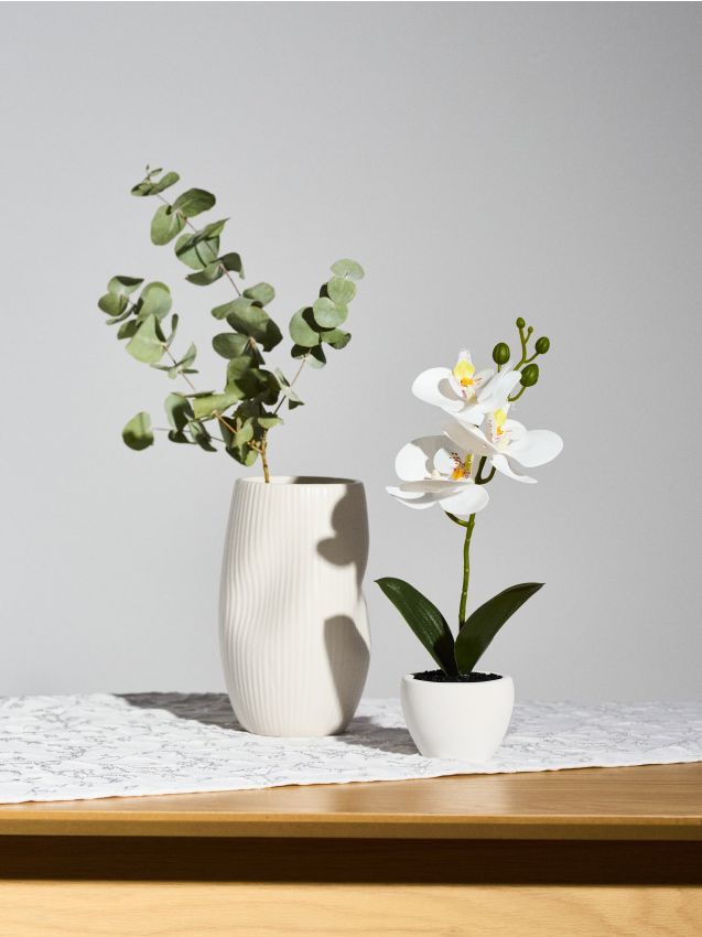 Sinsay - Plantă decorativă în ghiveci - alb