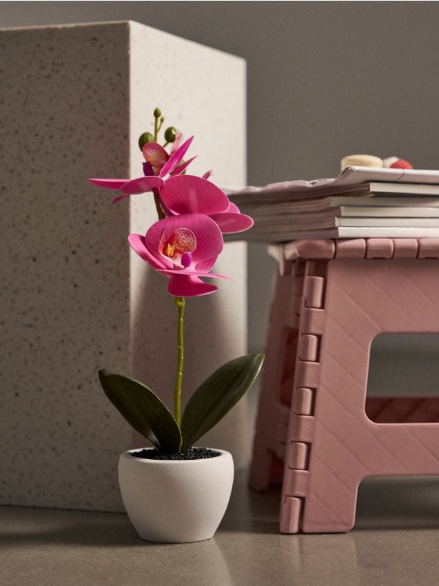 Sinsay - Plantă decorativă în ghiveci - roz