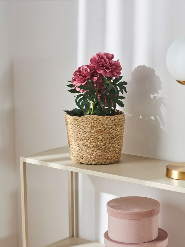 Sinsay - Plantă artificială decorativă - violet-închis