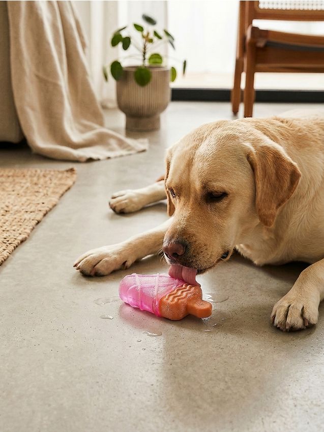 Sinsay - Jucărie pentru câine - roz