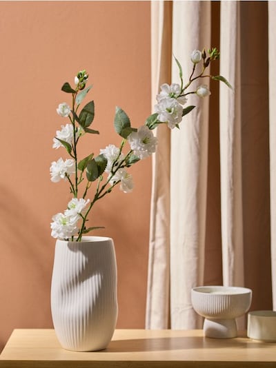 Dekoratiivtaim õitseva kirsiharuna