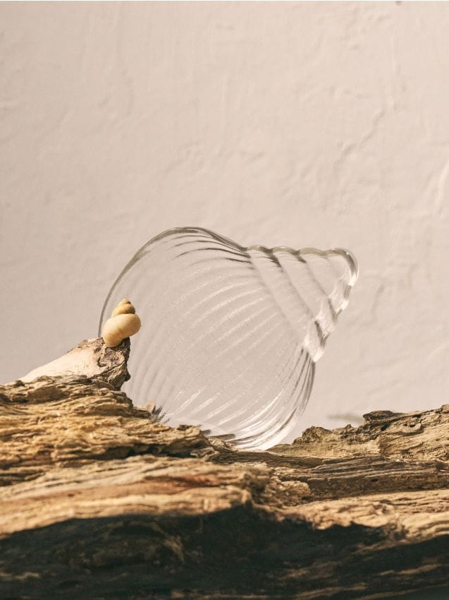Sinsay - Tavă decorativă din sticlă în formă de scoică - clear