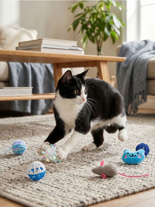 Sinsay - Set de jucării pentru pisică 6 pack - albastru