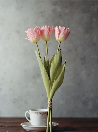 Декоративно изкуствено растение 3 pack