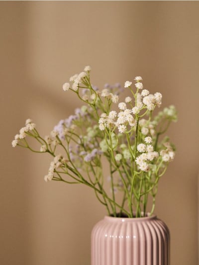 Roślina dekoracyjna w kształcie gałązki