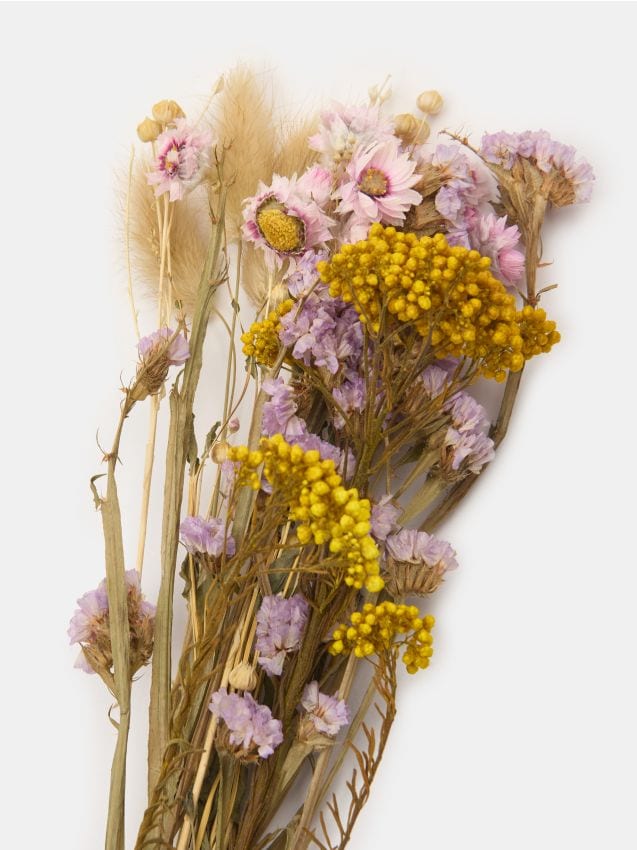 Sinsay - Flori uscate - multicolor