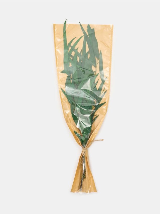 Sinsay - Ramură decorativă uscată - verde