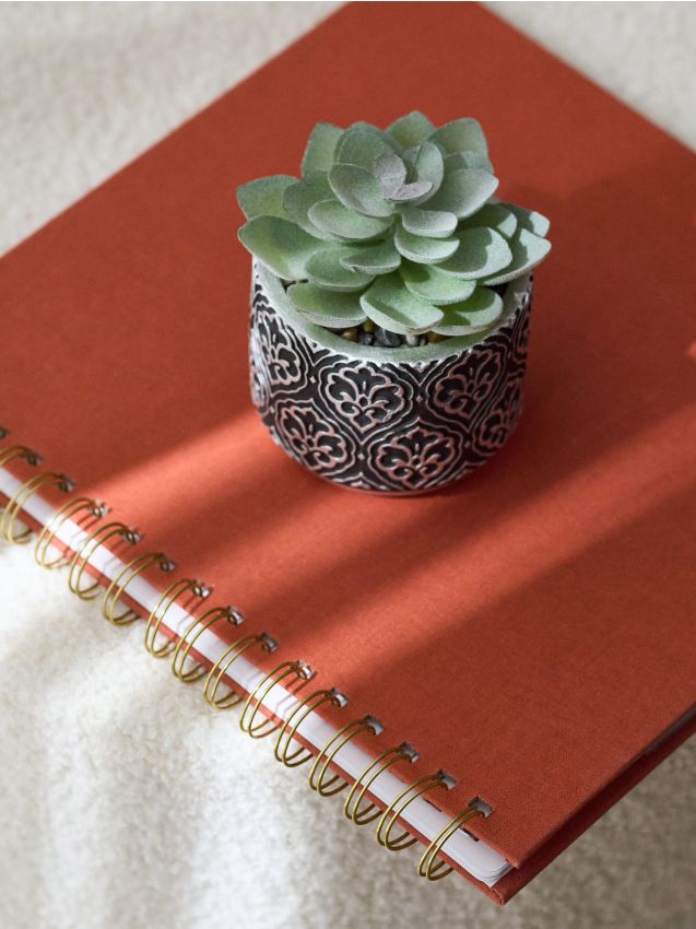 Sinsay - Dekoratívna rastlina v kvetináči - čierna