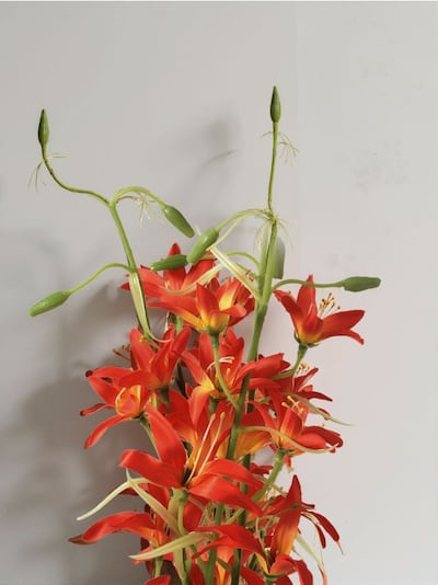 Декоративно изкуствено растение 3 pack