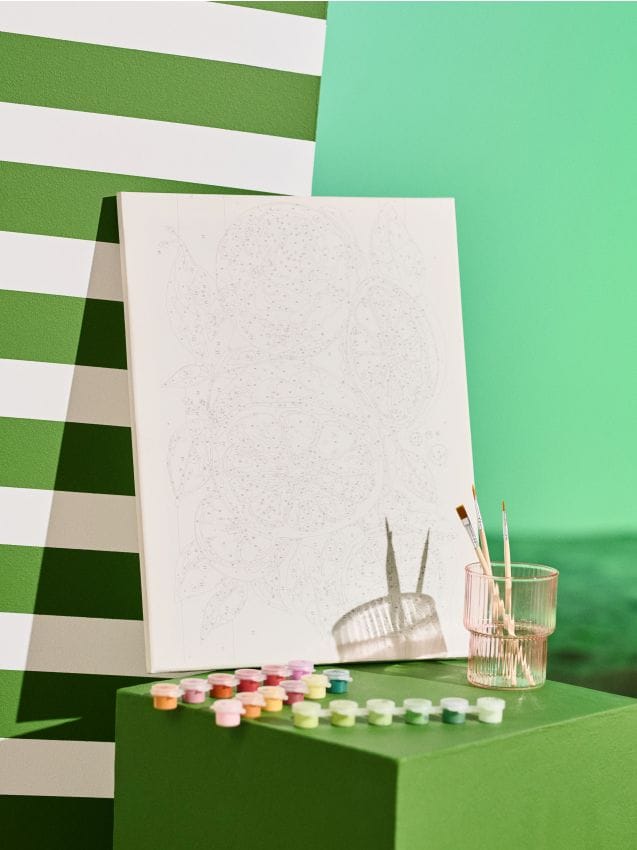 Numbrite järgi maalimise komplekt - SINSAY