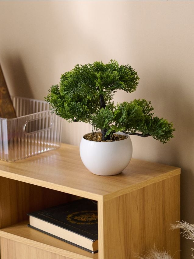 Sinsay - Pom bonsai în ghiveci - verde