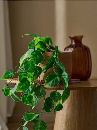 Декоративна штучна рослина