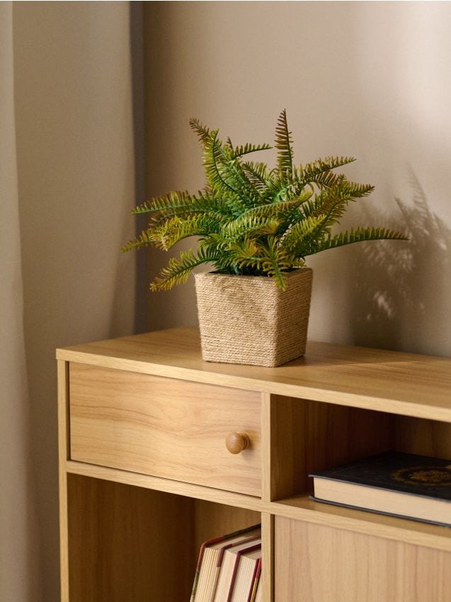 Sinsay - Plantă decorativă în ghiveci – ferigă - verde