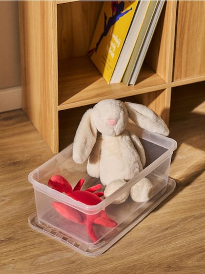 Transparentní úložná krabice s víkem