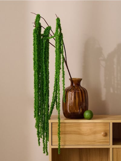 Dekoratiivne kunsttaim