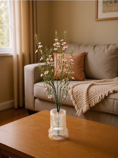 Roślina ozdobna 3 pack