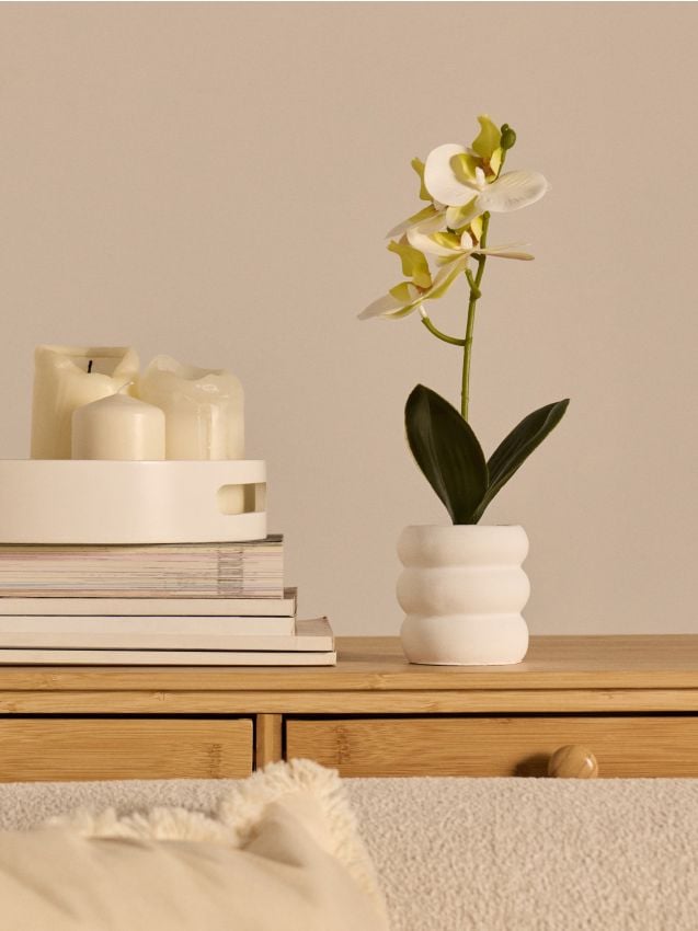 Sinsay - Plantă decorativă în ghiveci – orhidee - alb
