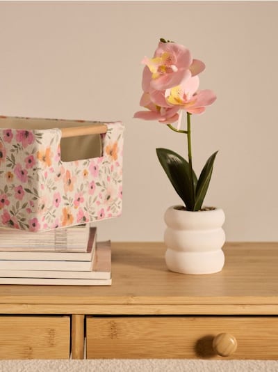 Декоративна рослина в горщику – орхідея