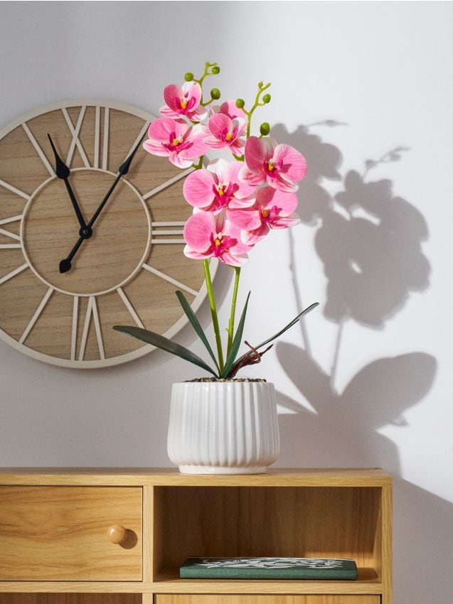 Sinsay - Plantă decorativă în ghiveci - roz-pastel