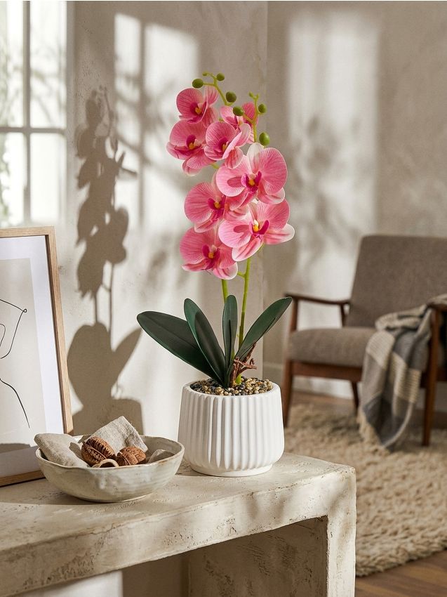 Sinsay - Plantă decorativă în ghiveci - roz-pastel