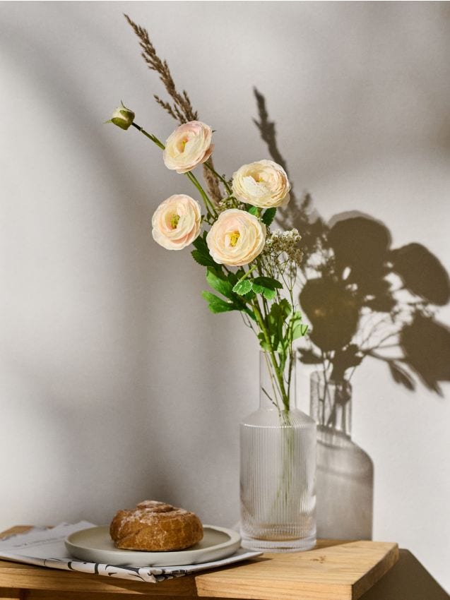 Sinsay - Plantă ornamentală - bujori - roz-pastel