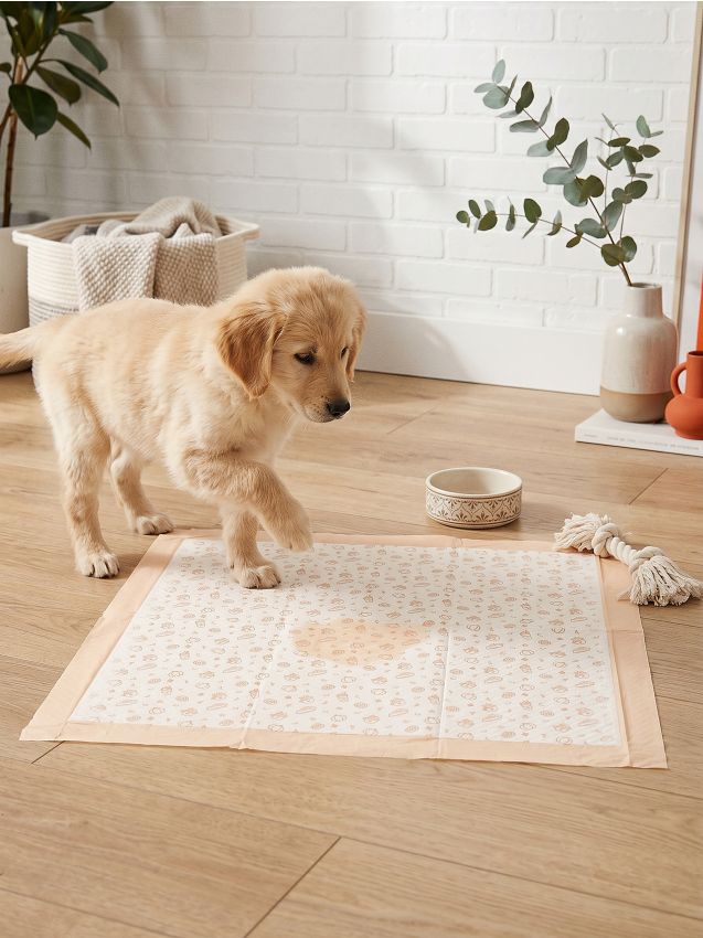 Sinsay - Aleze igienice pentru animale cu motiv de toamnă 15 pack - oranj-mandarină