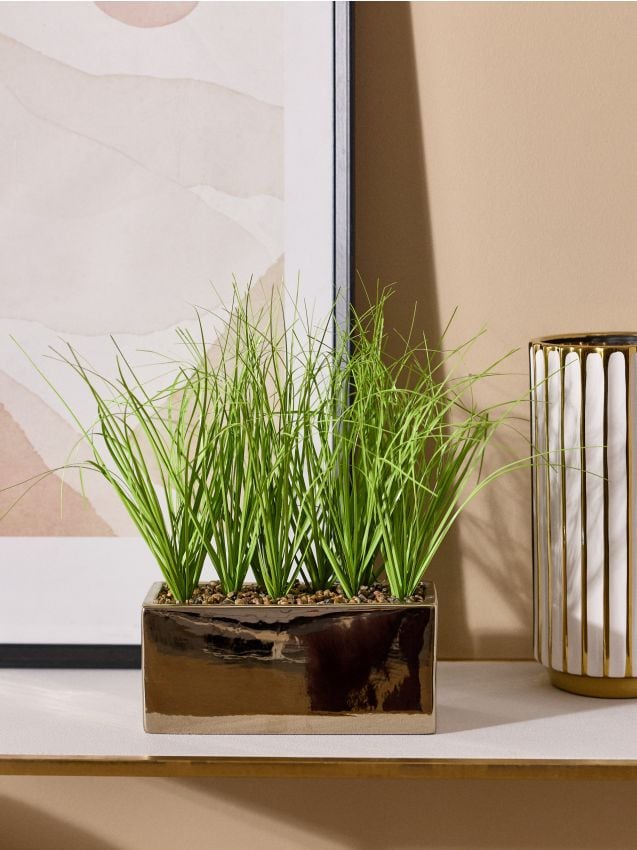 Sinsay - Plantă decorativă în ghiveci - verde