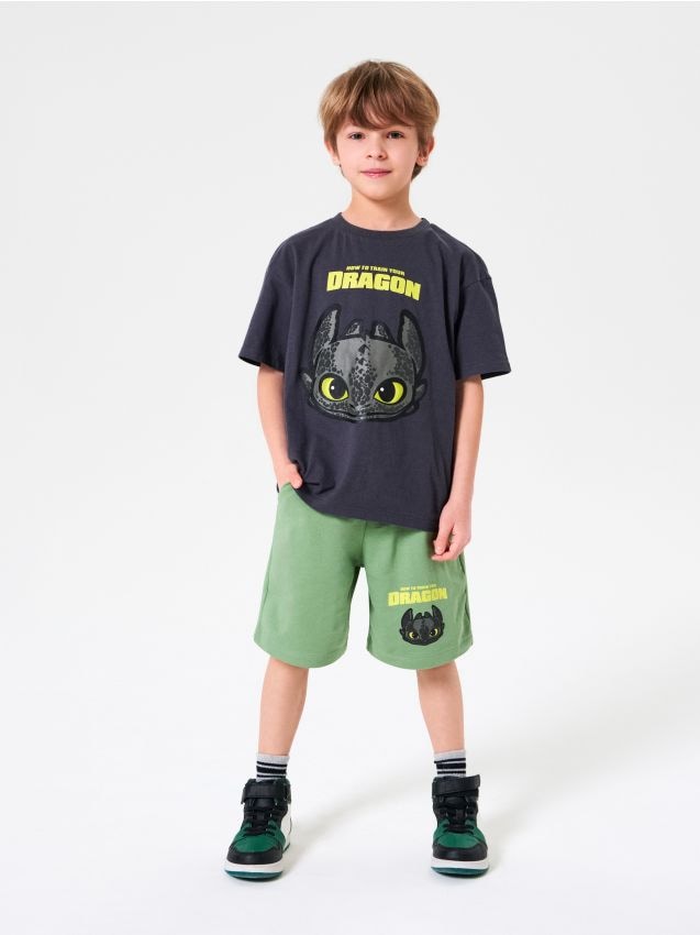 Sinsay - Compleu din jerseu How to train your dragon - multicolor