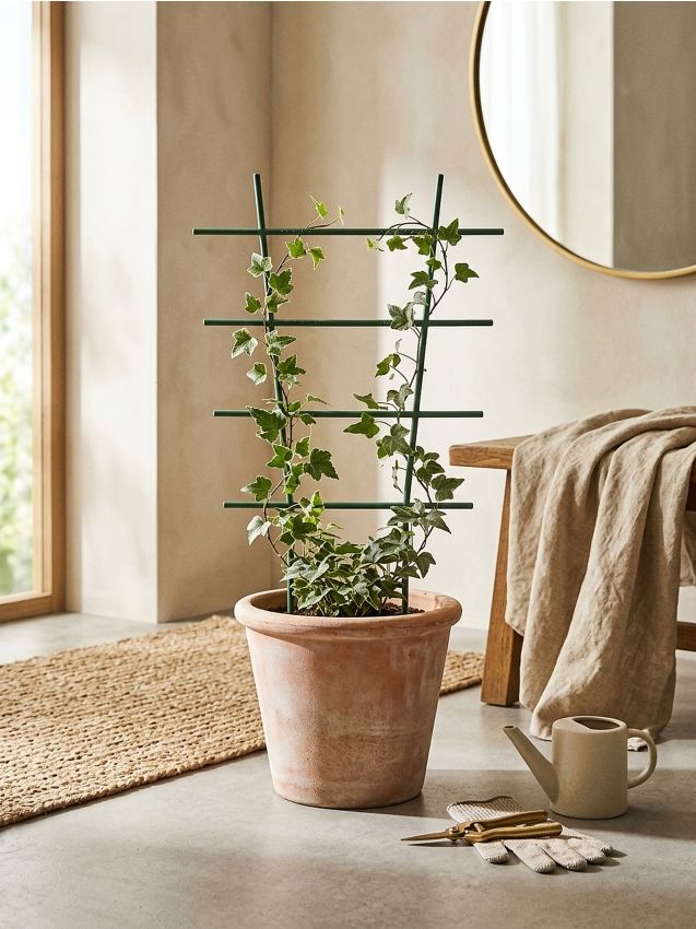 Sinsay - Spalier pentru plante - verde