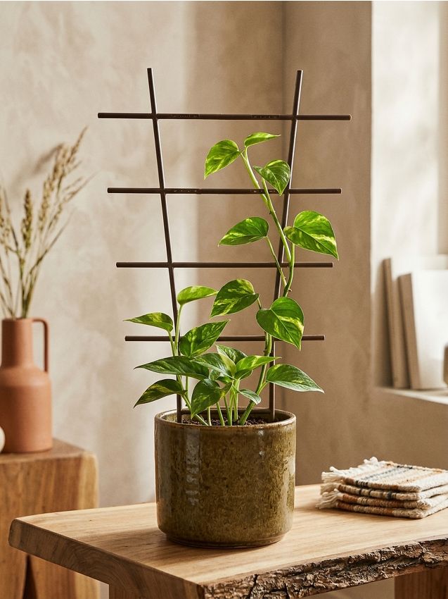 Sinsay - Spalier pentru plante - bej